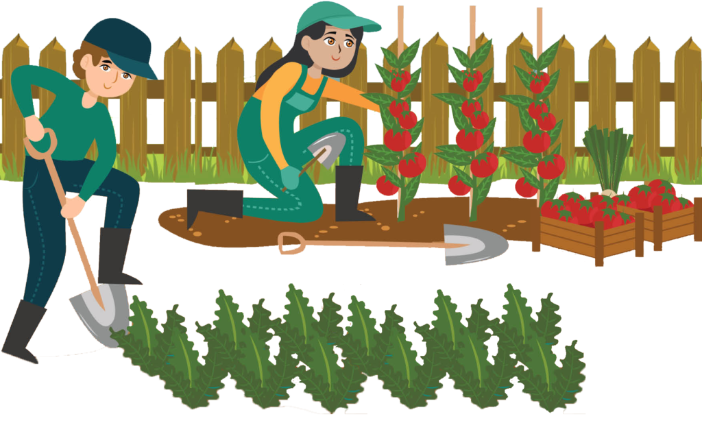 Formación Productiva Alternativa