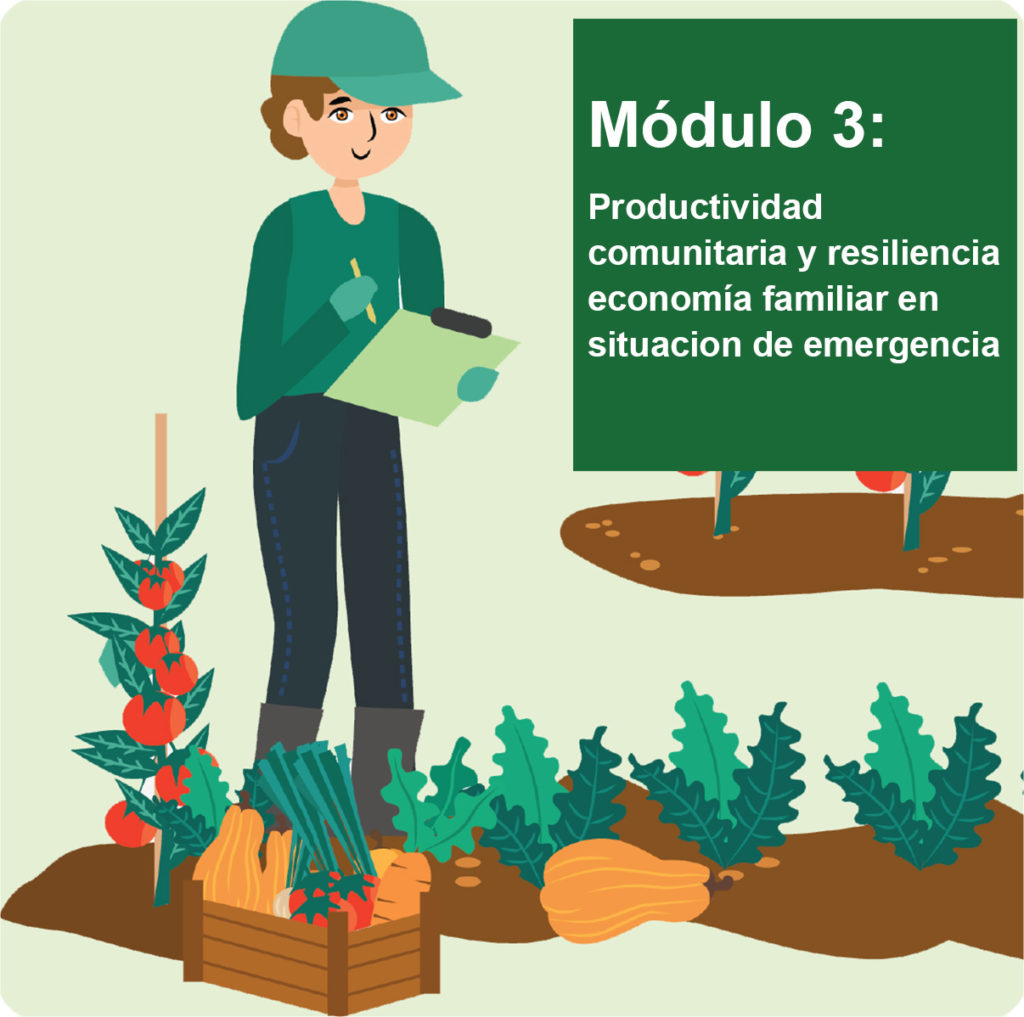 Módulo 3. Productividad