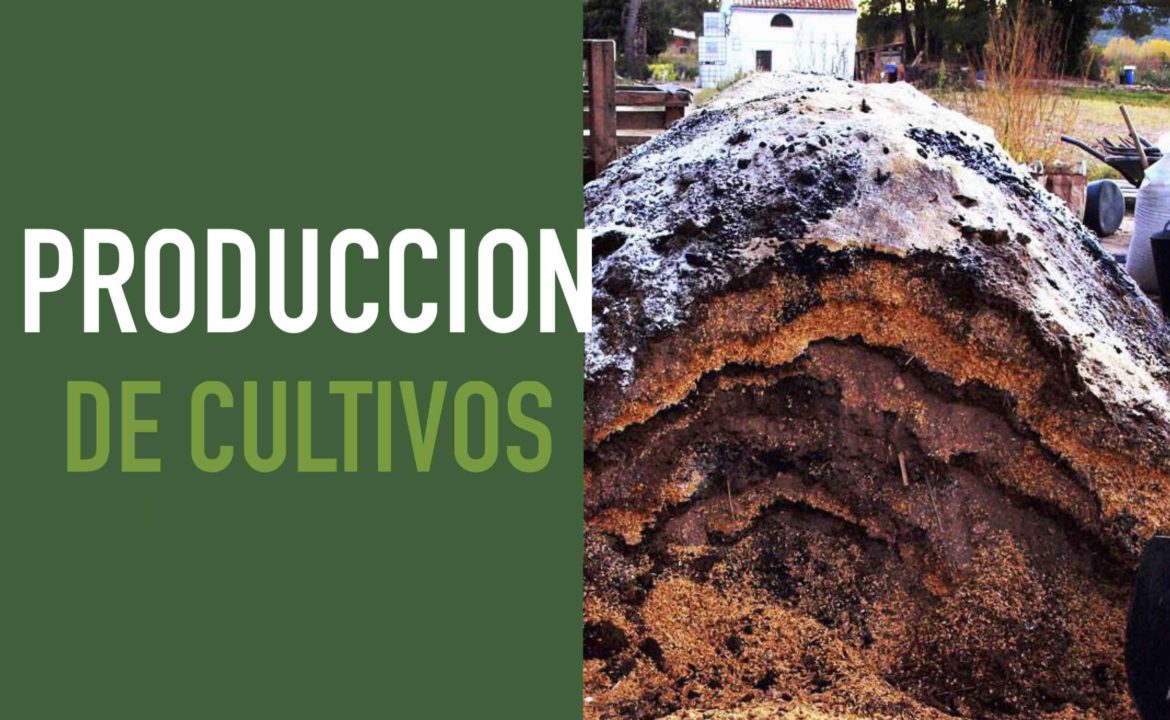 Producción de cultivos